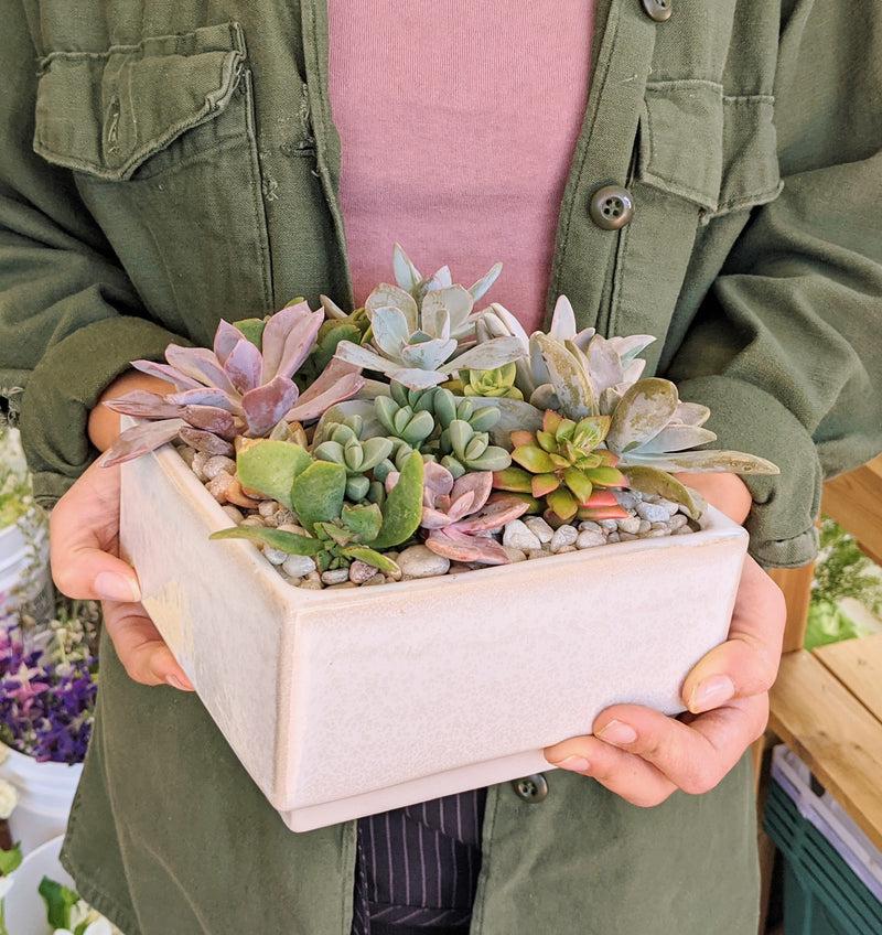 Medium Succulent Planter