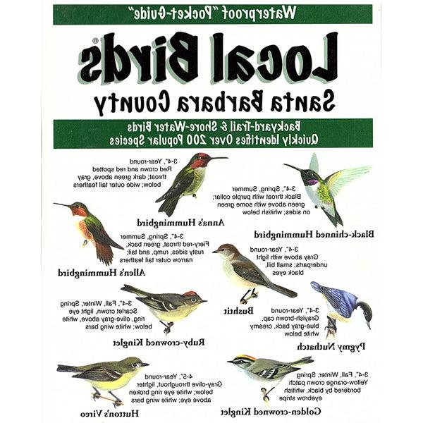 Local Birds Pocket-Guide: Santa Barbara