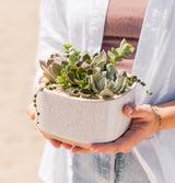 Medium Succulent Planter