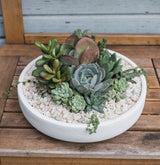 Emerson Succulent Planter